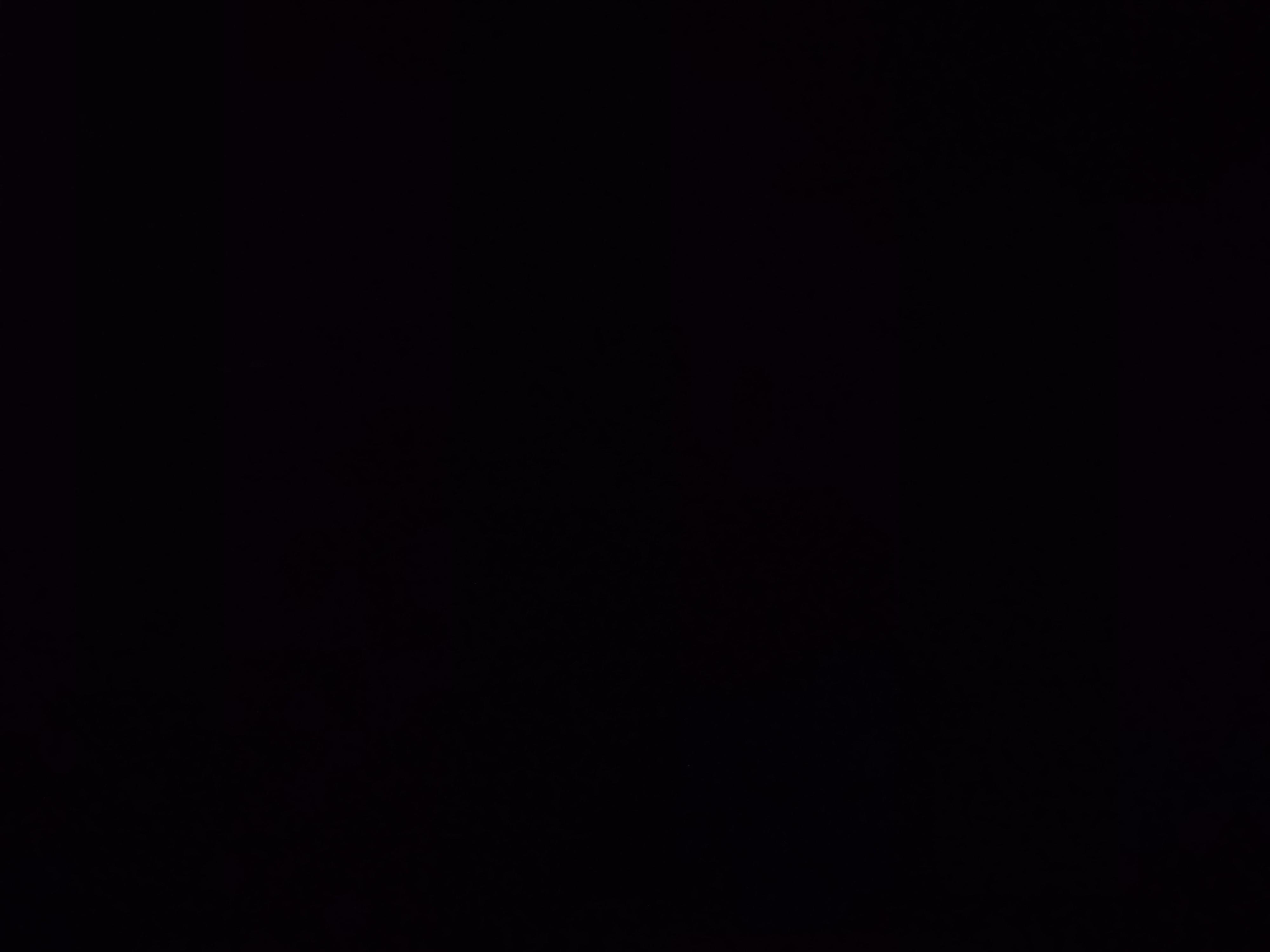 دکتر اسراء پیوسته