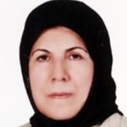 دکتر کشور نقشینه
