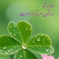 دکتر سعید جلالی, دکتری حرفه‌ای پزشکی عمومی