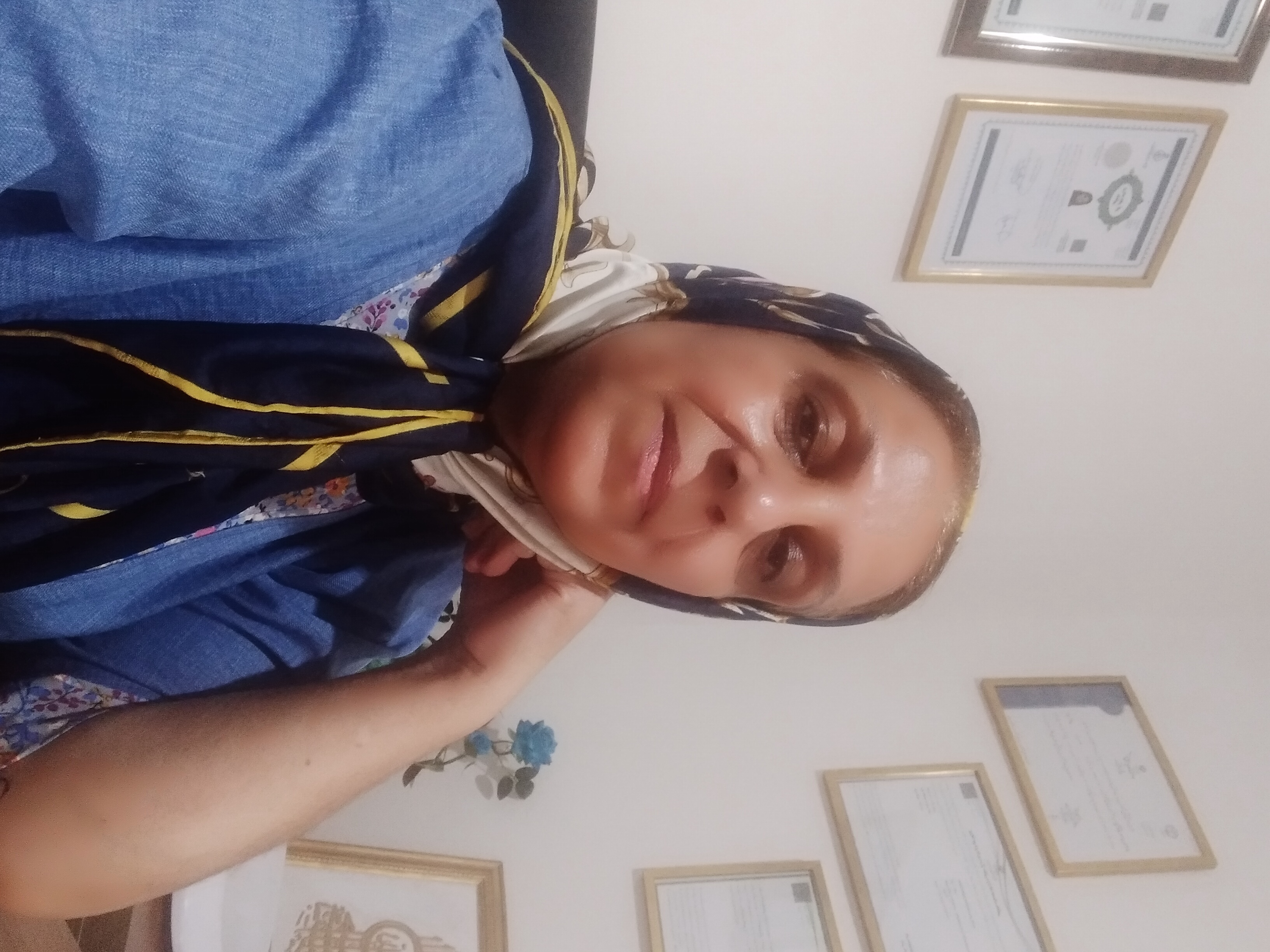 کلثوم ستوده آلوکنده