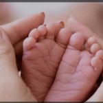 افضلی ساردوئی
