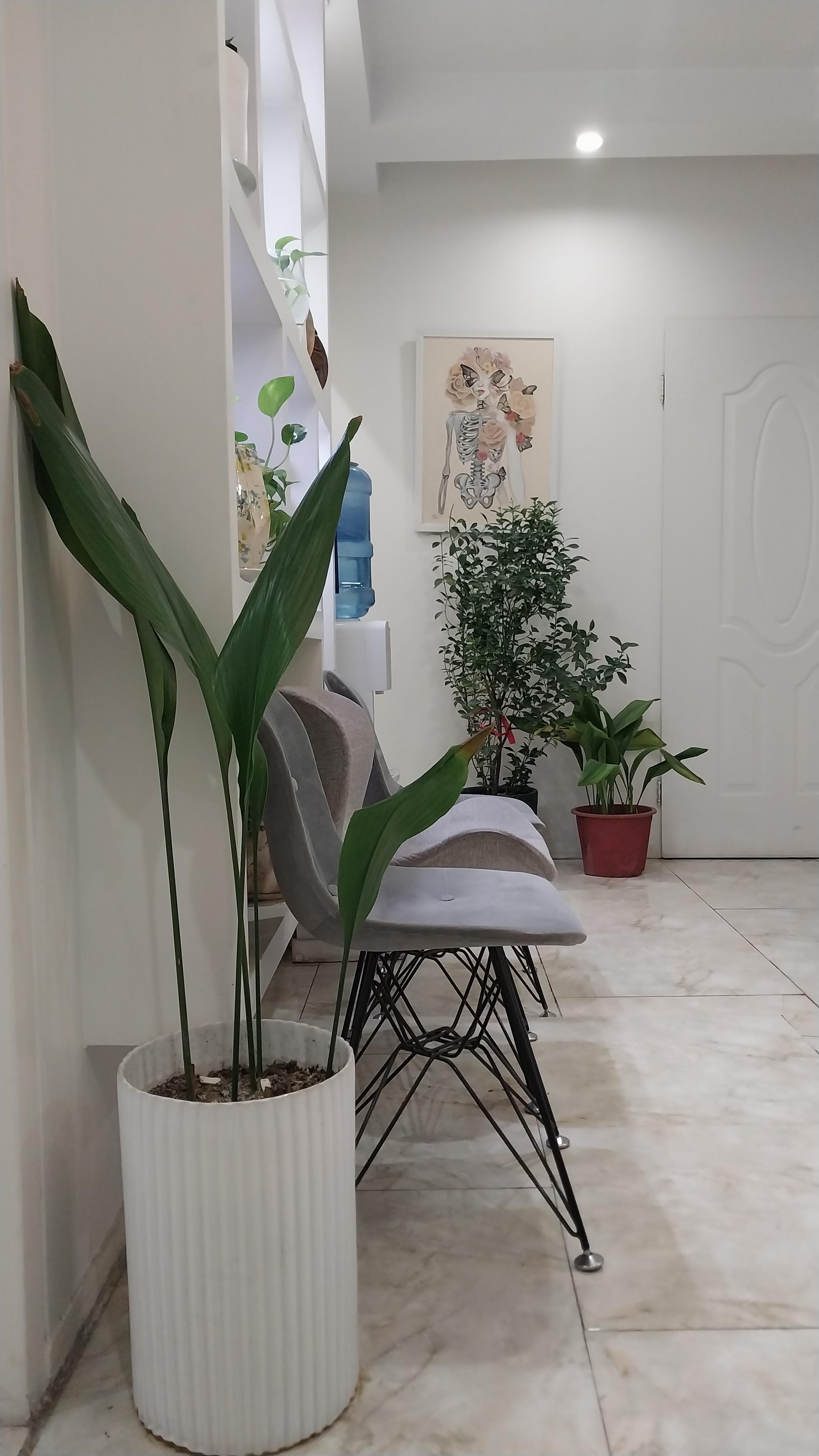 gallery-item