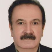 دکتر سیدحسن مهاجرانی