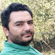 محمدحسین علیپور