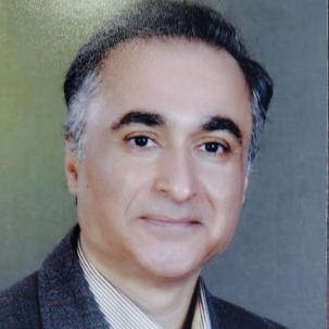 دکتر محمد محمودی