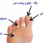دکتر هادی بخشی