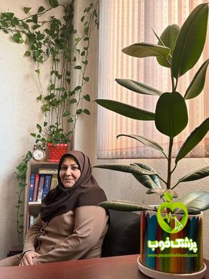 دکتر سیدحسین مرتضوی سانیجی