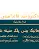 دکتر وحید قائدامینی اسدآبادی