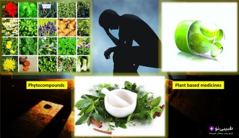 بهترین داروهای گیاهی ضد افسردگی با ترکیبات طبیعی مانند زعفران و سنبل‌الطیب