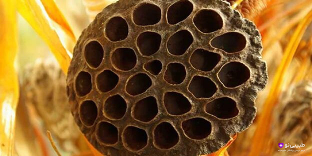 صویر تحریک احساس ترایپوفوبیا با طرحهای تکراری