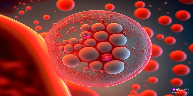 درمان دیابت نوع ۱ بدون نیاز به انسولین