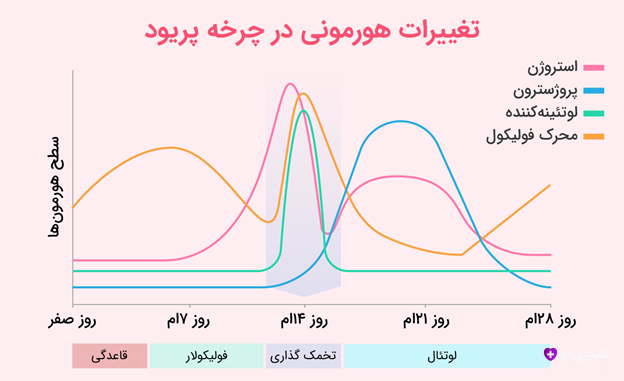 نمودار ضربان قلب با تأکید بر تپش غیرطبیعی