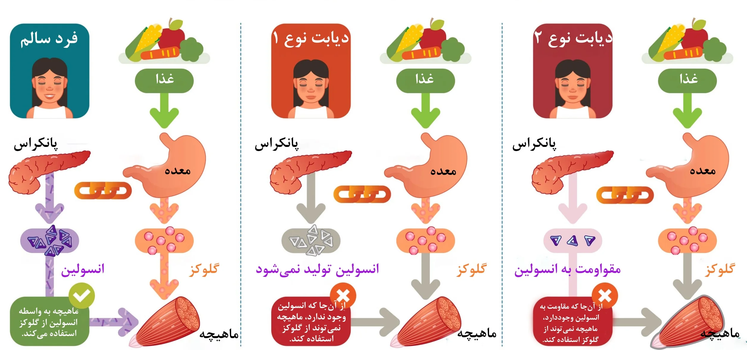 دیابت نوع 1 و 2