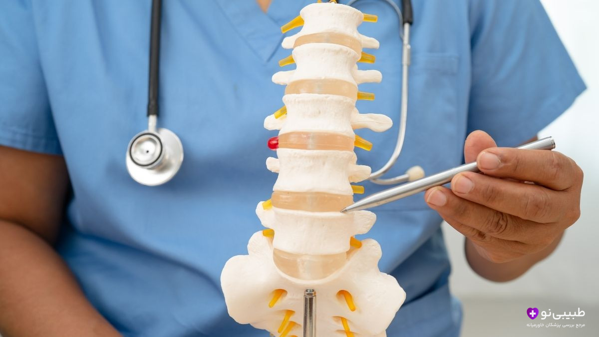 مدل واقعی ستون فقرات کمری که پزشک با قلم قسمت دیسک سالم و فتق‌شده را نشان می‌دهد