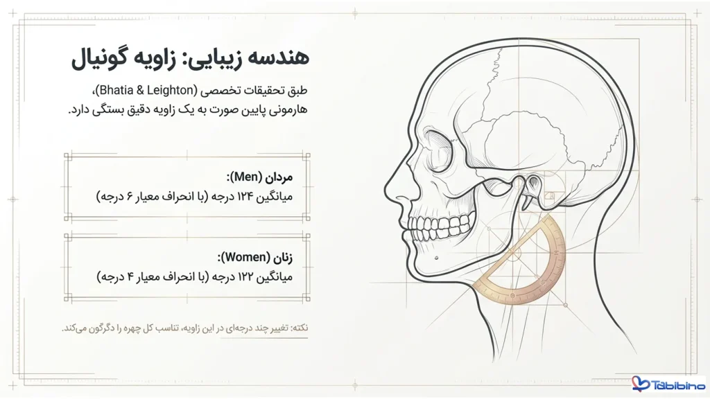 ماندگاری زاویه سازی فک طبیبینو