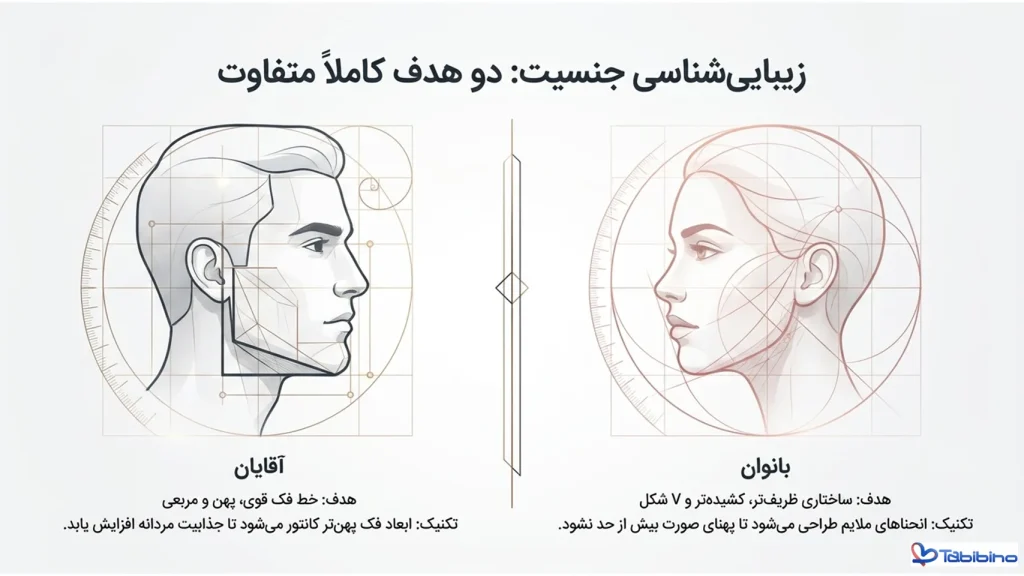 زاویه سازی فک دائمی طبیبینو