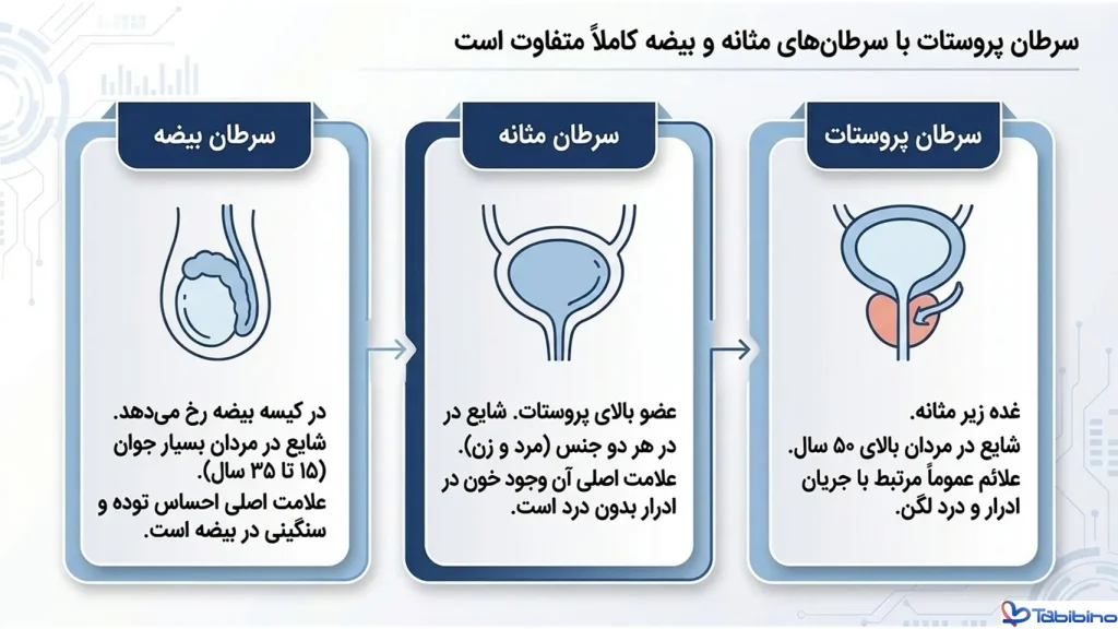 سرطان پروستات چه نشانه هایی دارد طبیبینو