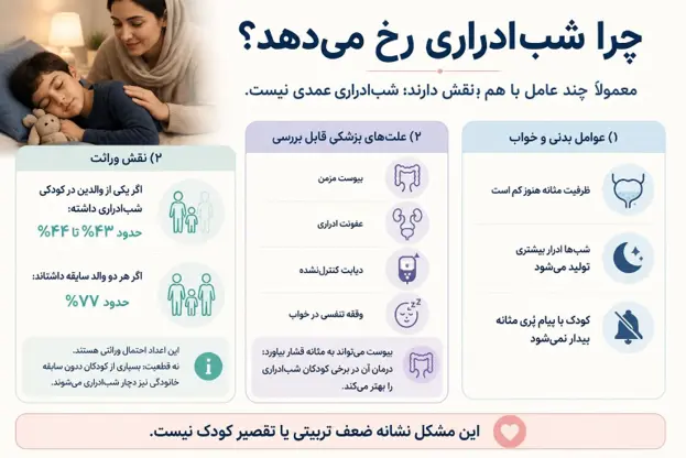 اینفوگرافیک علل بروز شب&zwnj;ادراری؛ بررسی نقش عوامل بدنی، علل پزشکی قابل بررسی مانند یبوست و عفونت، و تاثیر ژنتیک و وراثت. 
